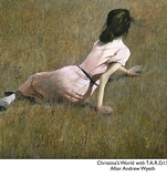 Christina's World with TARDIS: Andrew Wyeth/Dr Who Mashup