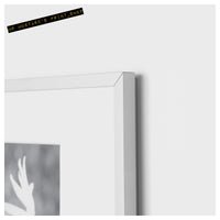 Joy Division: Collected Works, Discography Print